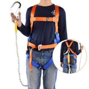 harness-5